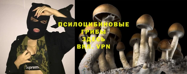 первитин Алексеевка