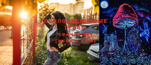 дмт Алексин