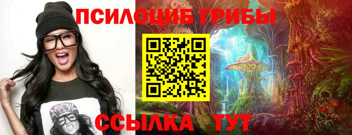 Псилоцибиновые грибы Psilocybe  Вход с VPN  Красногорск  Псилоцибиновые грибы мицелий 