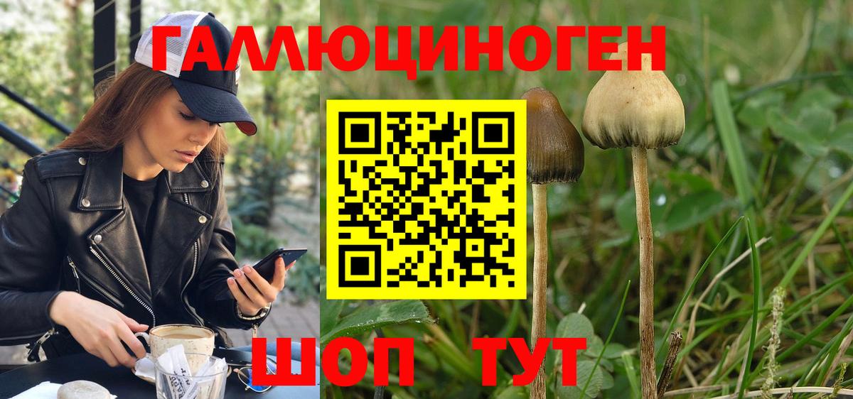 Псилоцибиновые грибы GOLDEN TEACHER Красногорск