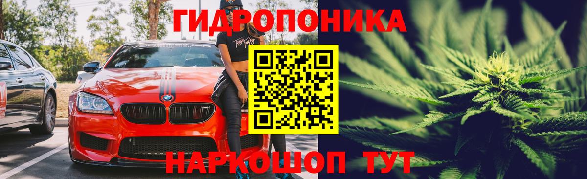 Шишки марихуана Bruce Banner  Канабис тримм  Красногорск  Вход с VPN 